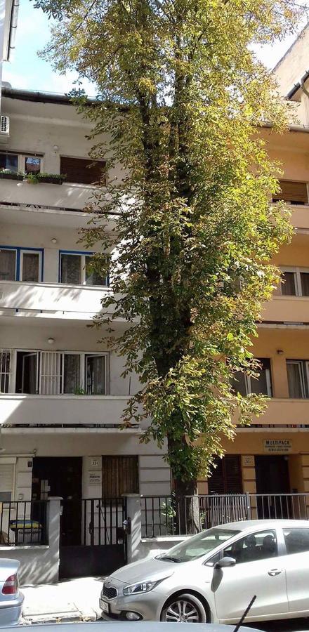 Studio Karma Budapeşte Dış mekan fotoğraf